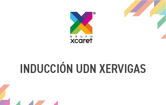 INDUCCIÓN UDN XERVIGAS