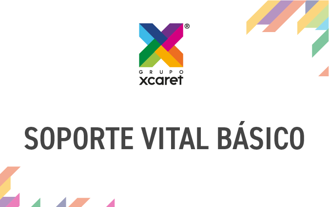 SOPORTE VITAL BÁSICO