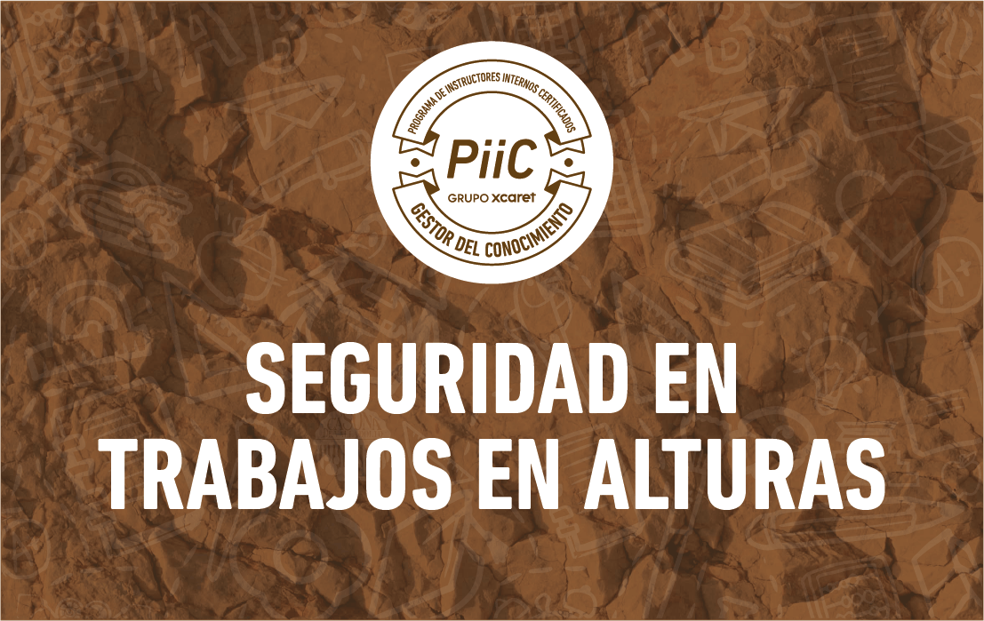 SEGURIDAD EN TRABAJOS EN ALTURAS 2025