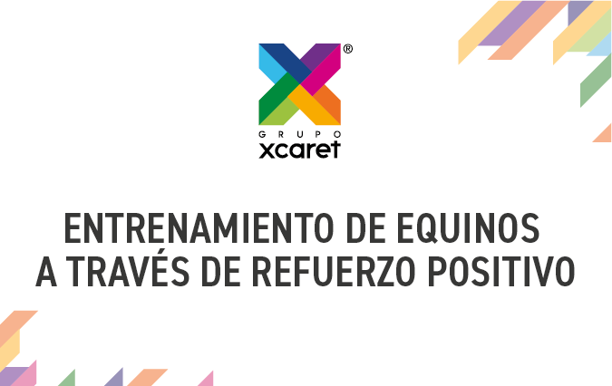 MANEJO SEGURO DE SUSTANCIAS QUÍMICAS